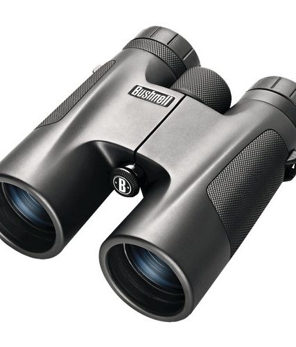 Bushnell Powerview 10 X 42mm Roof Prism Binoculars