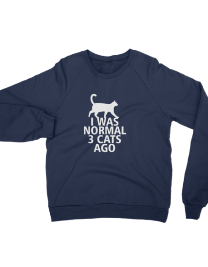 I Was Normal 3 Cats Ago - Funny Cat Sweater