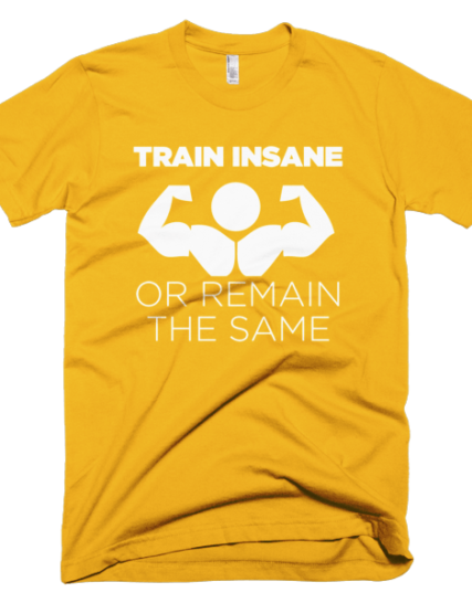 Train Insane - Gym T-Shirts